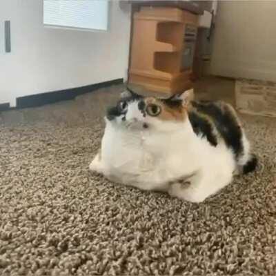 GUYS ̟͓̖̝̹̯̲͠I̵̴̡̝̯̰̳͚̩̮̲̥