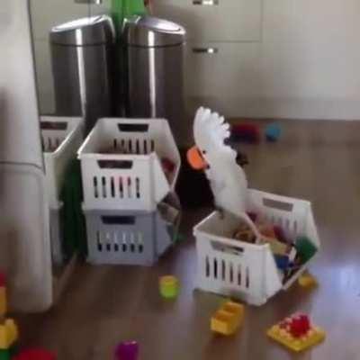 Me opening the fridge every 5 minutes to see if anything new has magically appeared