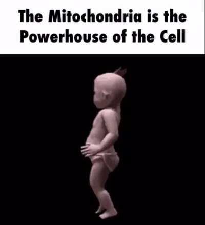 Thank you da baby 👶🏼