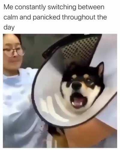 Just like some of us through the day