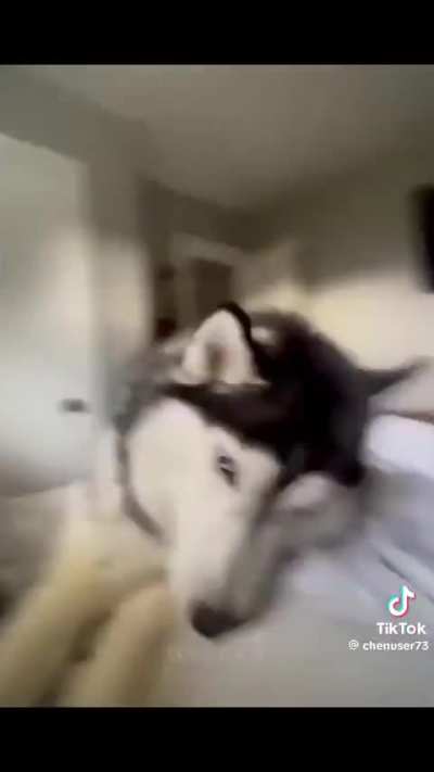 El que se ríe se va con 👿