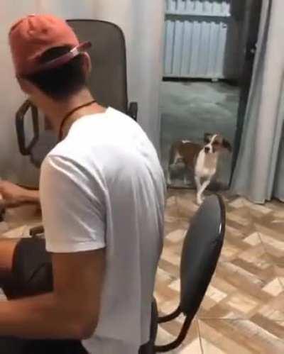 I LOVE YOU DOG FOROSEIRO!