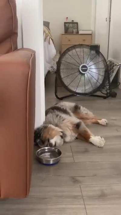 me after a night of drinking