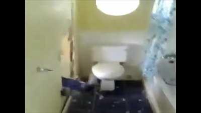 Chuchu retrieving Bob