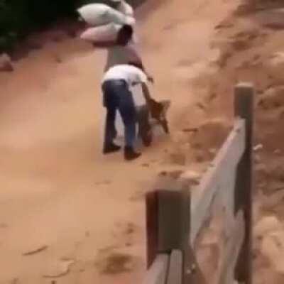 [HUMOR] My clanmates when i am trying to teach them a new strategy