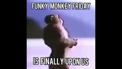We shall be vibing to Frank this Funky Monkey Friday.