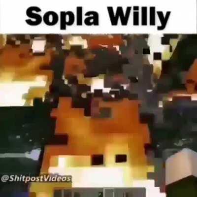 willy fue el causante de que las amazonas se quemaran