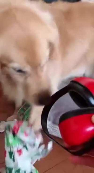 Das perfekte Geschenk.