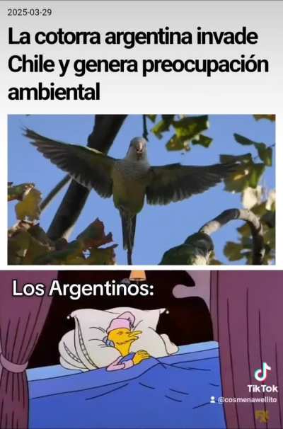 Otra coronación de gloria 🚬