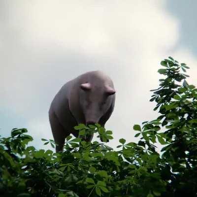 Señor boris, explique esto