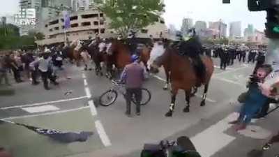 the legend of the racist horse