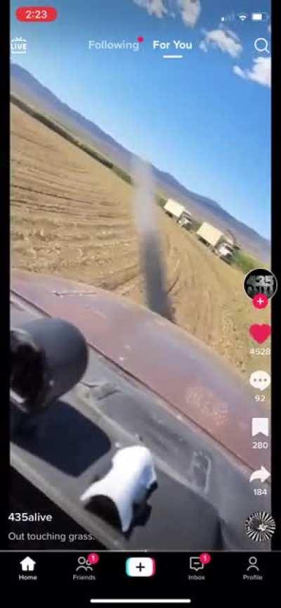 Tik tok is a goldmine