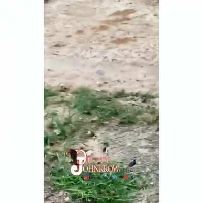 The road didn't help.