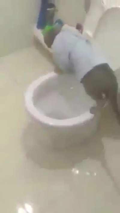 cursed_cat_poops_by_himself