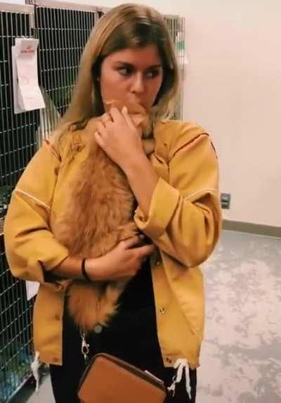 Another owner gets adopted