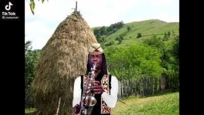 autobuz autobuz autobuz