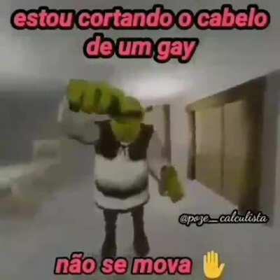 Depois, o Shrek vai capilar o mamaco.
