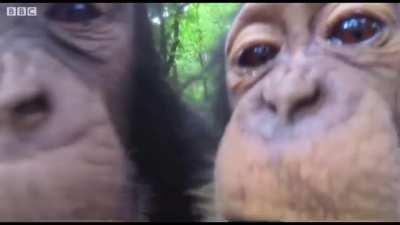 Thought this was appropriate