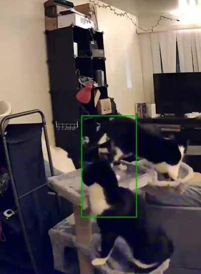 What Happened? Physics Happened