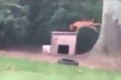 How and why did he get there