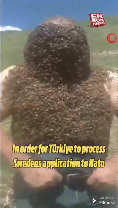 Turkic message to Westoid