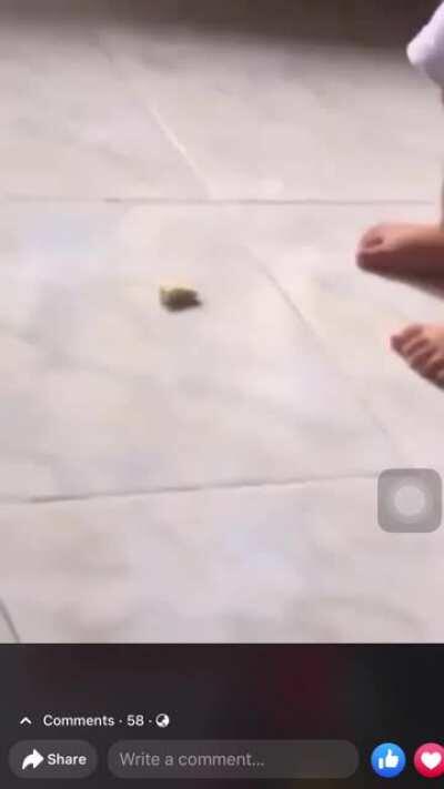 Kid dropping his fruit on the floor, his face though is still adorable