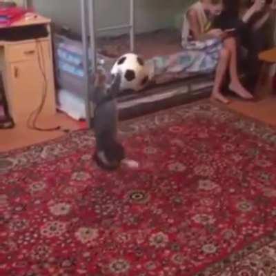 A soccer club needs to give this guy a contract