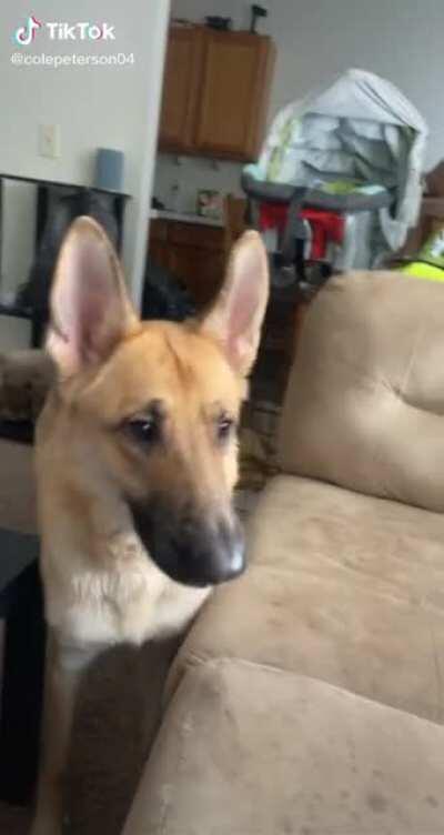 Its Supposed To Be A Punishment...