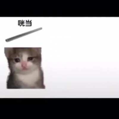 today i want to eat a