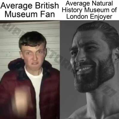 No arguments, just facts