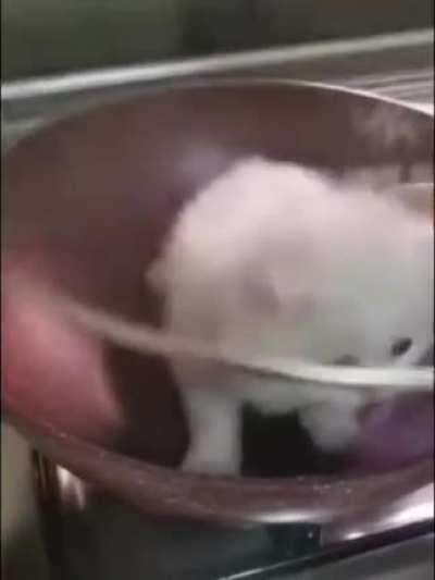 Haters will say its fake