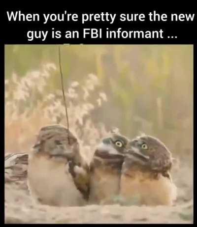 When you're pretty sure the new guy is an FBI informant 
