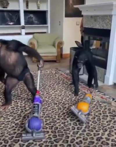 Katarlı iş adamlarının evinde temizlik yapan türkolar.