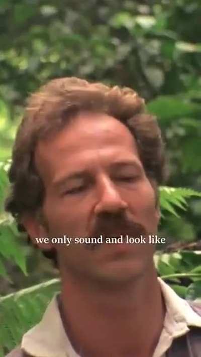 welcome to the jungle of online male spaces