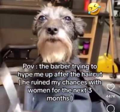 heading to Lids immediately