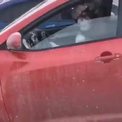 Бибип, сучечке!