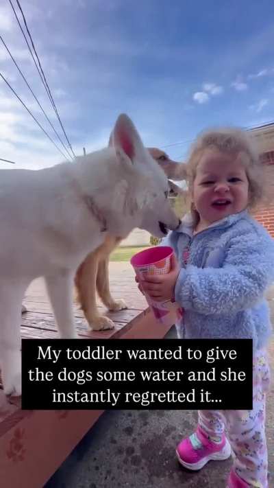 Toddler regrets feeding the dogs