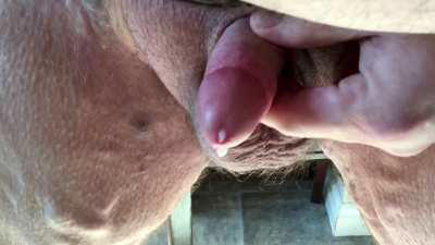 Big guy with a little guy,  dropped another load at the house I was sitting. I watched the postal worker put mail in the neighbours mailbox from the standing kitchen table while I came.