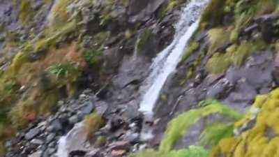 Couldn't capture the last moment of elk properly