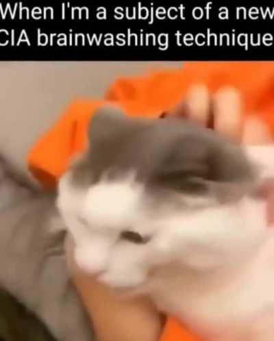 I am a normal citizen.