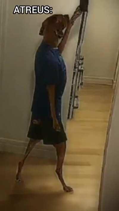 Luangameplay666 - Video #7034