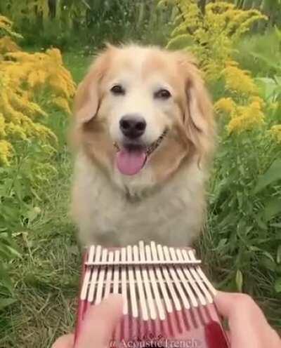 You don't need context, just say aww at this