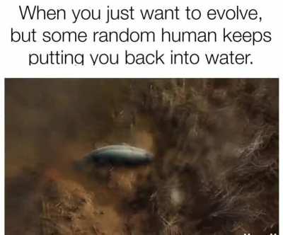 You can't stop the evolution.