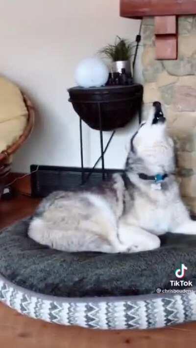 One for each eardrum