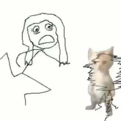 *inserte emoji de gato*