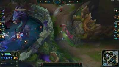 Nami baron steal into a game winning fight. Love this fish!