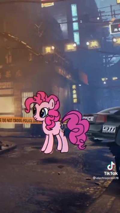 SHEREK QUANDO? MU Q I N H A