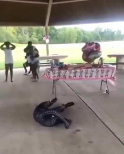 Leaked scene from Spider-man : no way home