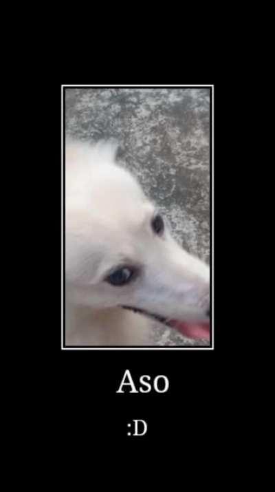 Aso