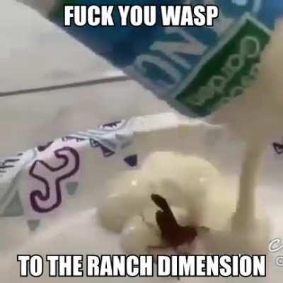 I wonder if wasps suffer, god i hope they do.